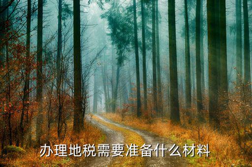 首次開通地稅應(yīng)準(zhǔn)備什么材料，首次購房需在地稅辦理什么材料