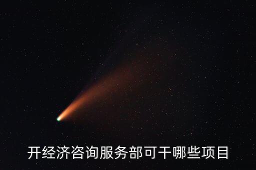 咨詢服務有什么進項，開經(jīng)濟咨詢服務部可干哪些項目