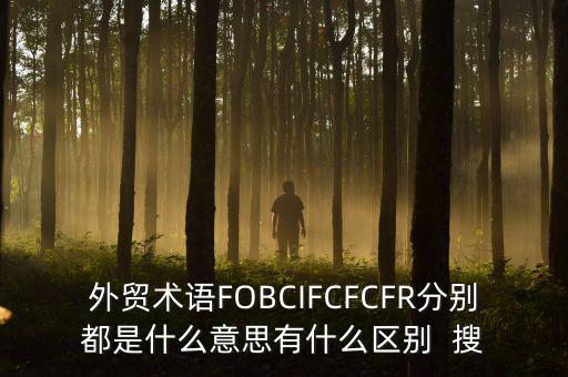 什么是被指定國別報告，什么是SGS