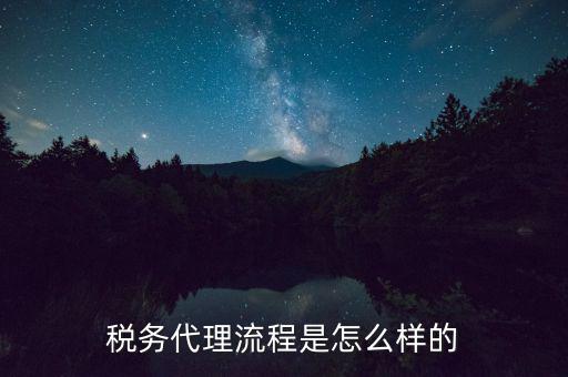 稅務(wù)代理人需要什么，代理到稅務(wù)機(jī)關(guān)開票需要哪些證件