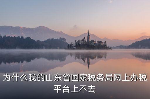 為什么登陸不了網(wǎng)上辦稅廳，為什么我的山東省國家稅務局網(wǎng)上辦稅平臺上不去