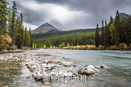 什么是地教稅，印花稅土地使用稅請問酒店要交地教稅土地使用稅是什