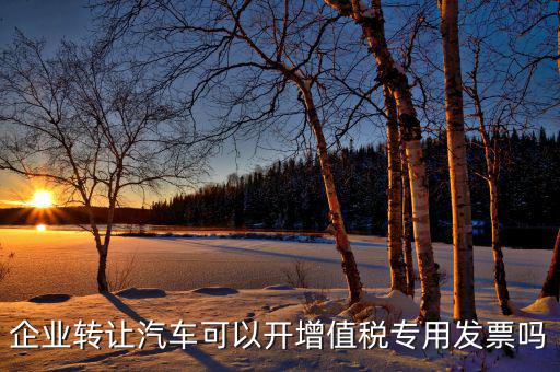單位二手車轉(zhuǎn)讓未抵稅車開(kāi)什么票，小企業(yè)出售二手車沒(méi)開(kāi)發(fā)票要付什么憑證