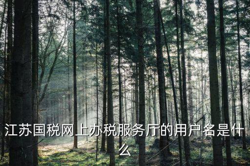 南京國(guó)稅局登陸名是什么，江蘇國(guó)稅網(wǎng)上辦稅服務(wù)廳的用戶名是什么