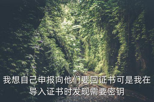 報稅為什么要用到密鑰，我想自己申報向他們要回證書可是我在導(dǎo)入證書時發(fā)現(xiàn)需要密鑰