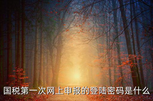 國稅申報登陸密碼是什么，國稅第一次網(wǎng)上申報的登陸密碼是什么