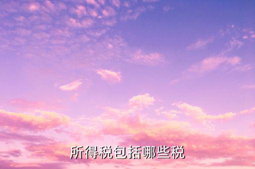 企業(yè)所得稅包含什么，公司所得稅包含有哪兩個(gè)