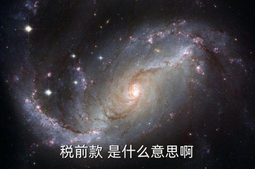稅前金額是什么意思，稅前款 是什么意思啊