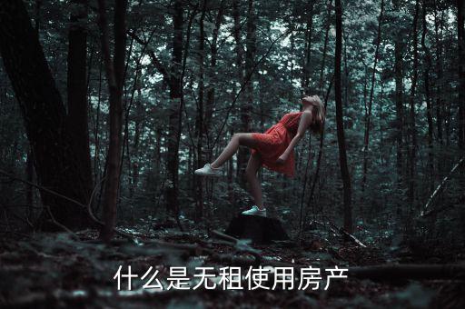 什么是無租使用房產，請問在經(jīng)濟法里無租使用房產是什么意思