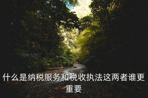 什么是納稅服務(wù)，什么是納稅服務(wù)和稅收執(zhí)法這兩者誰更重要