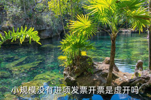 什么是虛假進項發(fā)票，什么是虛購增值稅發(fā)票