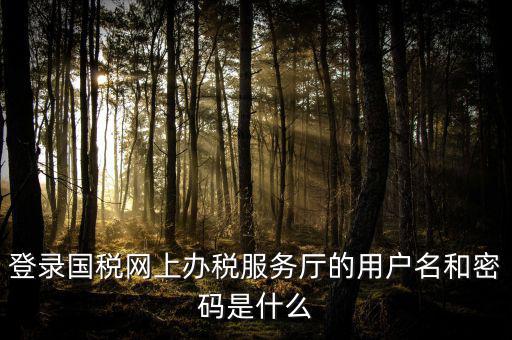 國(guó)稅網(wǎng)上登錄密碼是什么意思，國(guó)稅第一次網(wǎng)上申報(bào)的登陸密碼是什么