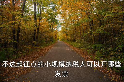 小規(guī)模納稅人能使用什么發(fā)票，建筑類小規(guī)模納稅人購買什么發(fā)票