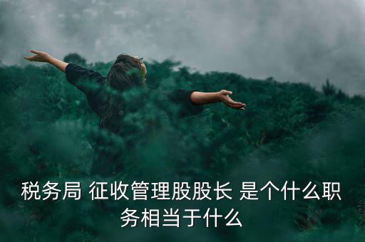 稅務(wù)局 征收管理股股長 是個(gè)什么職務(wù)相當(dāng)于什么