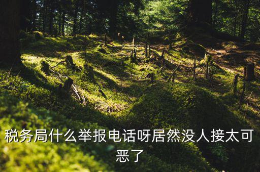 什么叫稅務(wù)舉報，稅務(wù)局什么舉報電話呀居然沒人接太可惡了