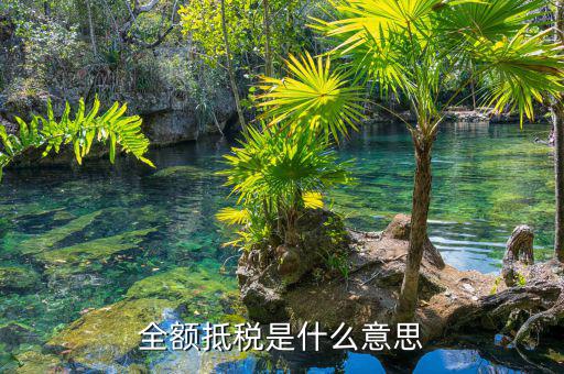 什么叫全額抵p，增值稅的全額抵扣是什么意思