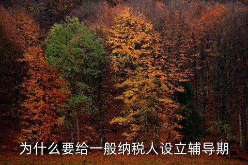 為什么增值稅輔導(dǎo)期，什么是輔導(dǎo)期一般納稅人