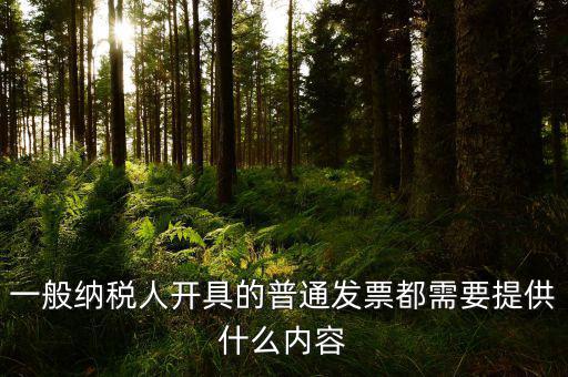 申請普票都需要什么，一般納稅人申請普通發(fā)票所帶的資料
