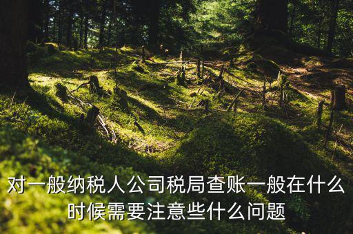 一般地稅稽查會(huì)在什么時(shí)候，稅務(wù)局什么時(shí)候會(huì)查賬不申報(bào)有哪些后果