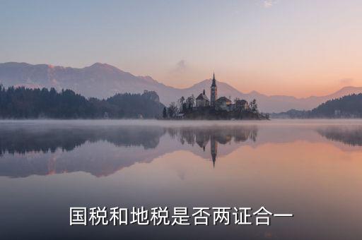 國稅的兩證合一是什么意思，國稅和地稅是否兩證合一