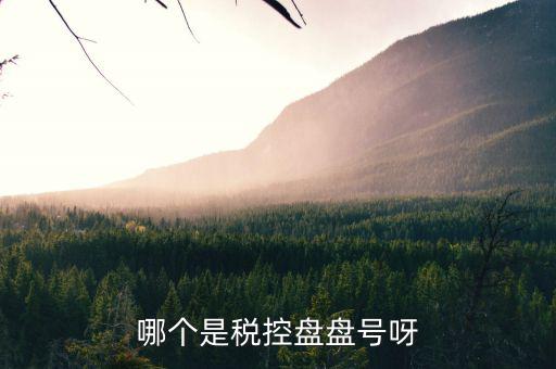 稅控盤號(hào)是什么，什么叫稅控盤號(hào)