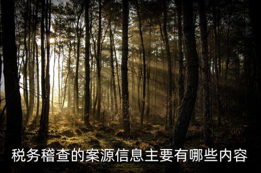 稅務(wù)督察內(nèi)審做什么的，內(nèi)審監(jiān)察主要工作職能