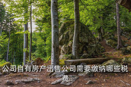 銷售房產公司交什么稅，銷售房產繳納什么稅
