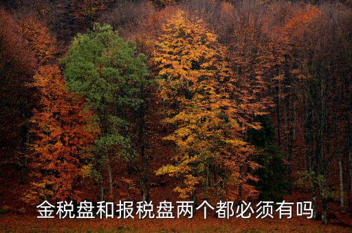 申報盤是什么，保險兼業(yè)代理人資格申報電腦數(shù)據(jù)盤是什么意思
