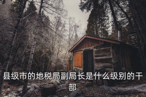 地稅局副局什么級別，縣級市的地稅局副局長是什么級別的干部