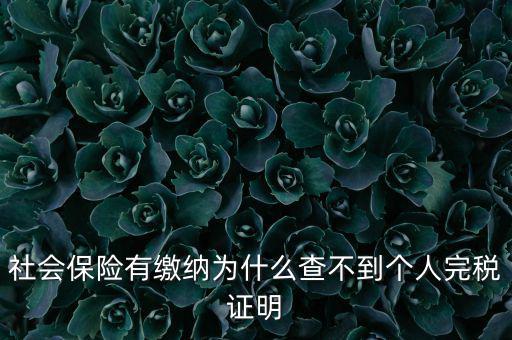 為什么查不到納稅記錄，社會保險有繳納為什么查不到個人完稅證明