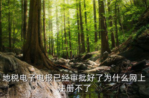 河地稅網(wǎng)上辦稅為什么注冊(cè)不了，地稅網(wǎng)上打印報(bào)表提示沒(méi)有注冊(cè)要怎么注冊(cè)呢