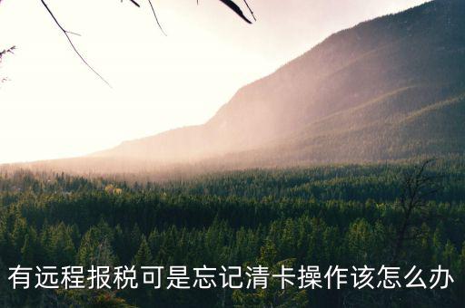 遠(yuǎn)程清卡失敗什么意思，有遠(yuǎn)程報(bào)稅可是忘記清卡操作該怎么辦