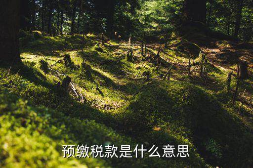 為什么預(yù)繳稅款，預(yù)繳稅款是什么意思