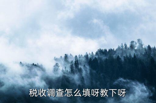 稅收調(diào)查主要調(diào)查什么，企業(yè)所得稅稅收調(diào)查