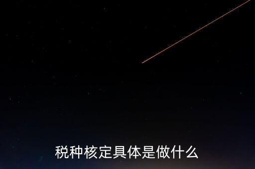 票中核定是什么核定的，哪些情況下要進行國稅票種核定
