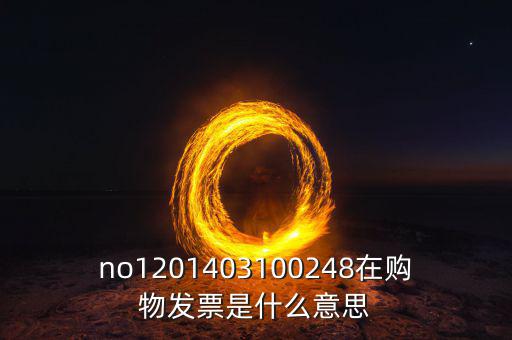 湖南發(fā)票號碼是什么意思，發(fā)票參考號是什么意思