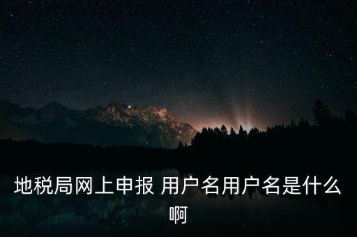 山東地稅網(wǎng)上申報(bào)賬號(hào)密碼是什么，地稅申報(bào)的用戶(hù)名和密碼是什么