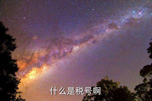 公司稅號(hào)是什么，公司的稅號(hào)一般有多少位