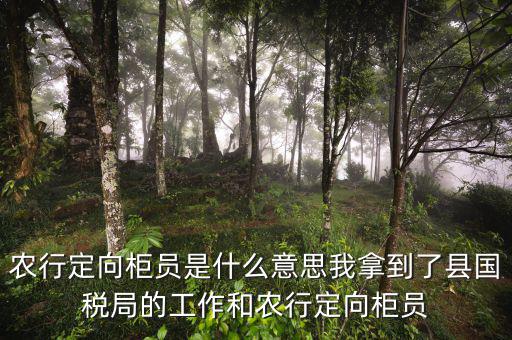 國稅值班是什么意思，農(nóng)行定向柜員是什么意思我拿到了縣國稅局的工作和農(nóng)行定向柜員