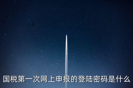 所得稅清算登陸密碼是什么，國稅第一次網(wǎng)上申報的登陸密碼是什么