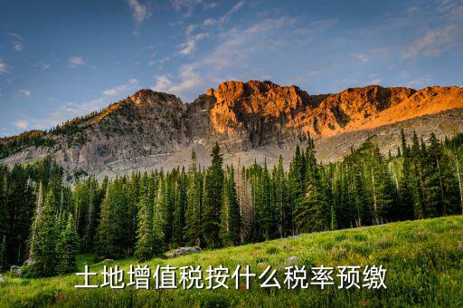 山東省土地增值稅按什么預繳，山東文登市土地增值稅預繳稅率是多少