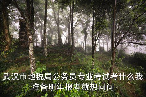省地稅局復試考什么，武漢市地稅局公務員專業(yè)考試考什么我準備明年報考就想問問