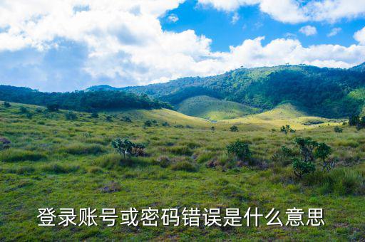 陜西電子稅務(wù)局登錄賬號是什么意思，登錄賬號或密碼錯誤是什么意思