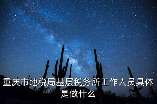 重慶地稅局前臺做什么的，重慶市地稅局基層稅務(wù)所工作人員具體是做什么