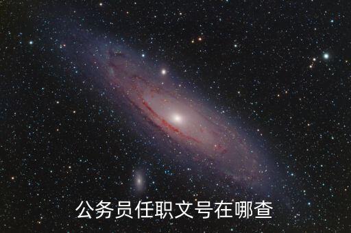 什么地方可以查任職文號，公務員任職文號在哪查