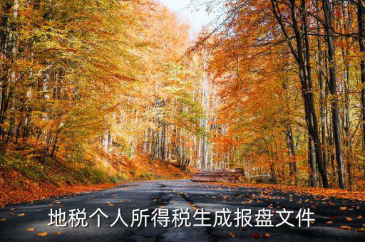 地稅個人所得稅生成報(bào)盤文件