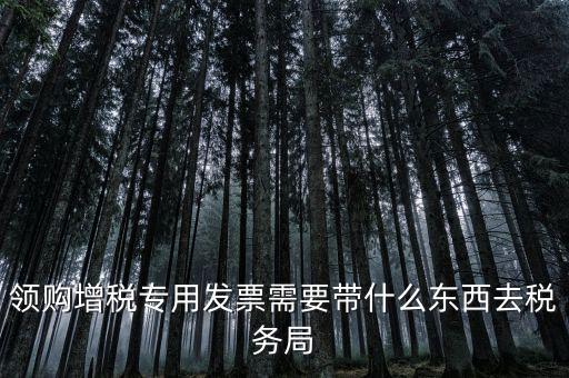 領(lǐng)專票帶什么資料，去稅務(wù)局領(lǐng)發(fā)票需要帶什么資料去