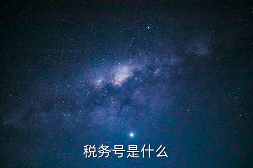 什么是稅務(wù)登記號，稅務(wù)號是什么