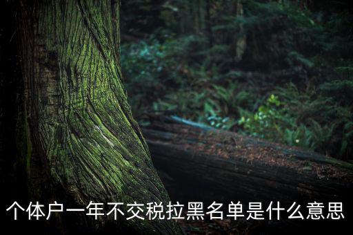 什么是納稅信用黑名單，個(gè)體戶(hù)一年不交稅拉黑名單是什么意思
