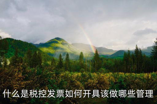 申請(qǐng)稅控是什么，什么是稅控盤申請(qǐng)稅控盤需要什么手續(xù)